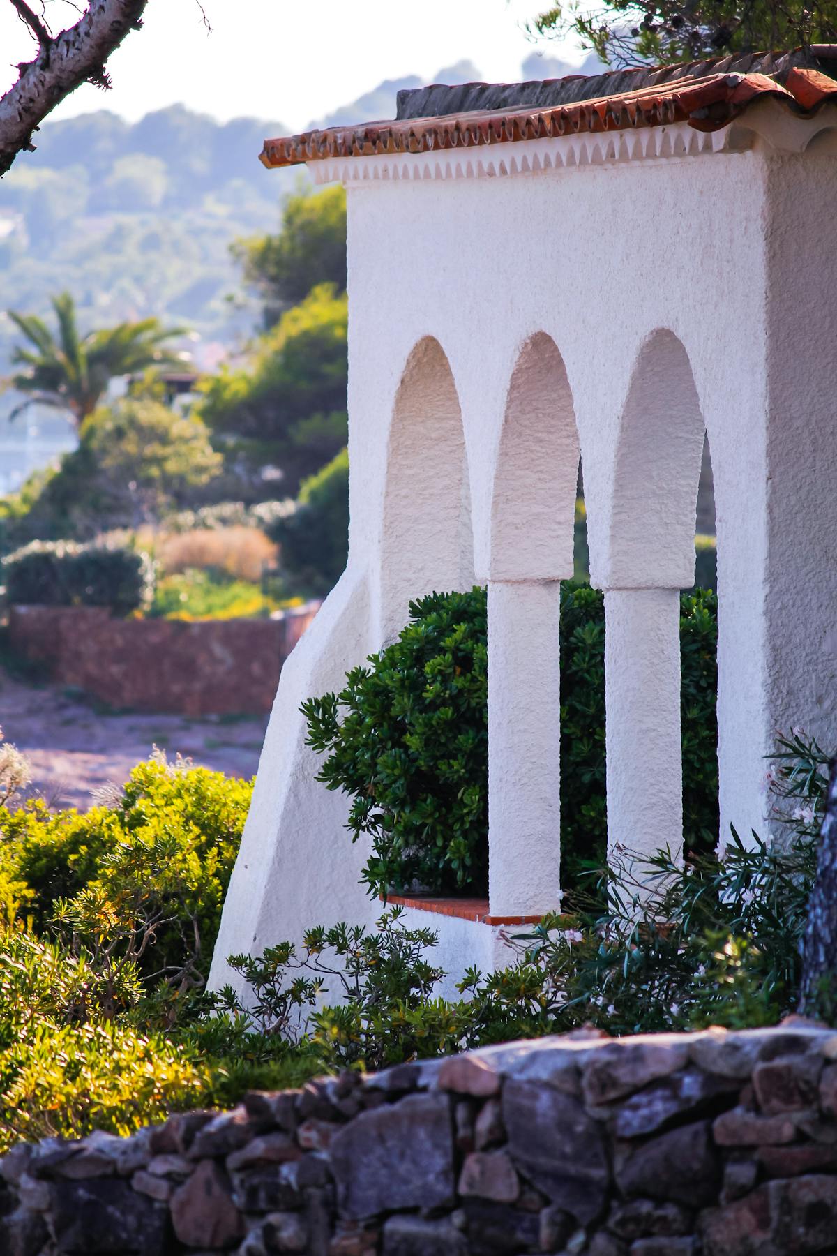 Jardin méditerranéen aménagé à Nice